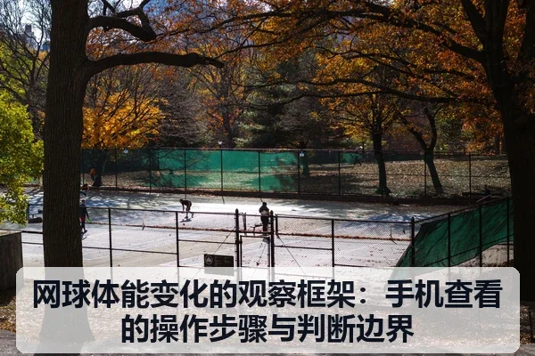 网球体能变化的观察框架:手机查看的操作步骤与判断边界